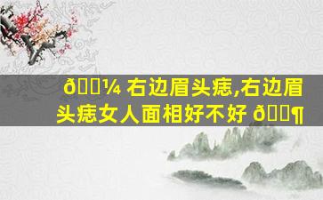 🌼 右边眉头痣,右边眉头痣女人面相好不好 🐶